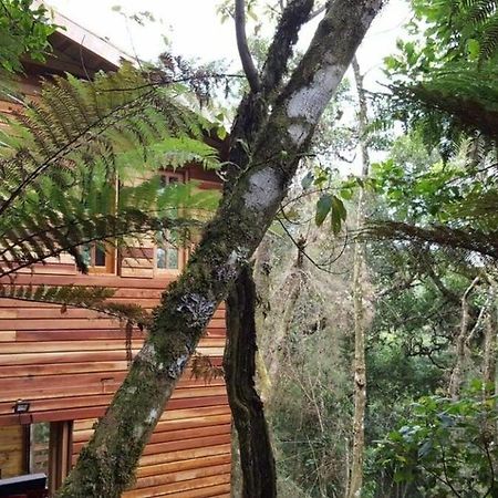 Chale Dos Tucanos- Parede De Vidro Com Linda Vista Campos do Jordão Zewnętrze zdjęcie