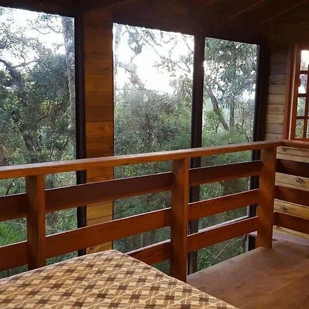 Chale Dos Tucanos- Parede De Vidro Com Linda Vista Campos do Jordão Zewnętrze zdjęcie