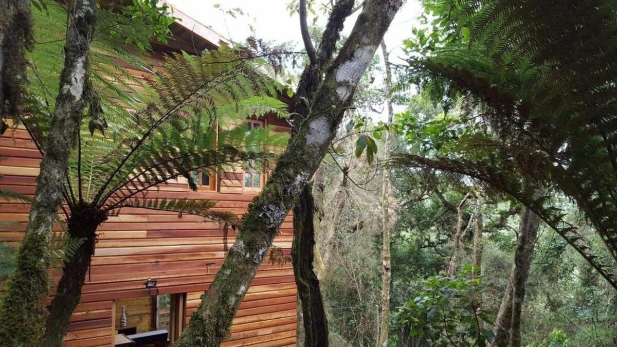 Chale Dos Tucanos- Parede De Vidro Com Linda Vista Campos do Jordão Zewnętrze zdjęcie