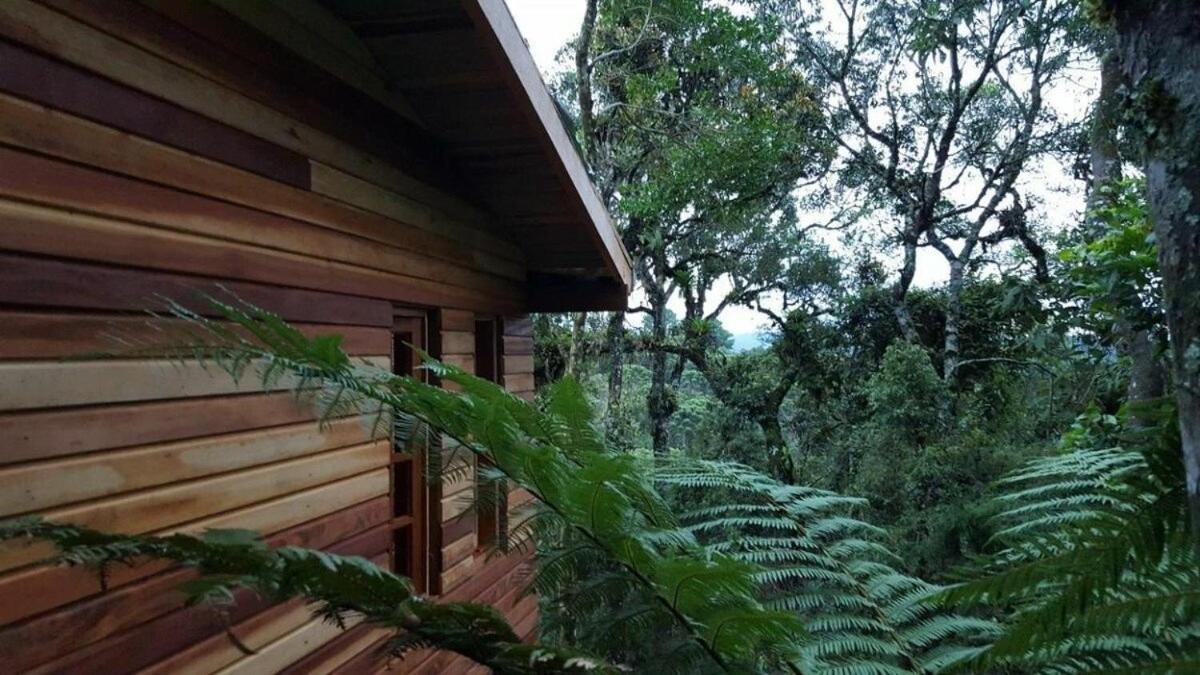 Chale Dos Tucanos- Parede De Vidro Com Linda Vista Campos do Jordão Zewnętrze zdjęcie