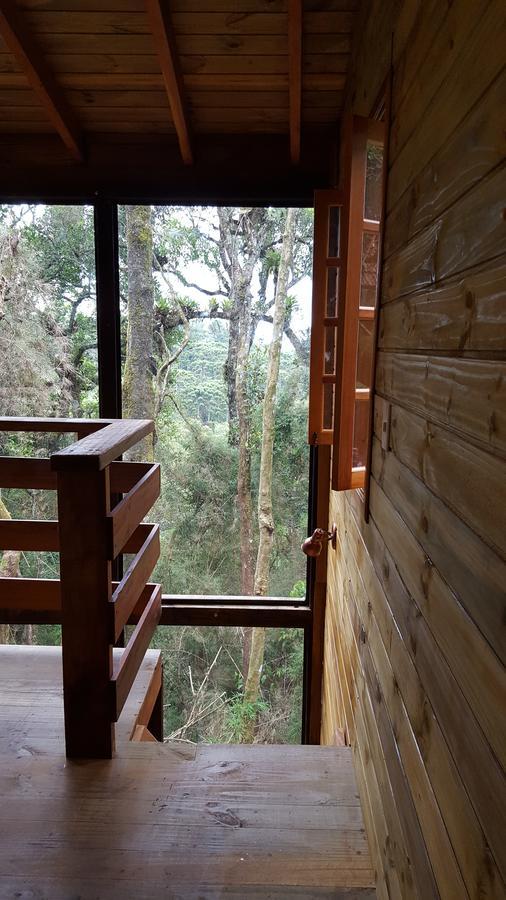 Chale Dos Tucanos- Parede De Vidro Com Linda Vista Campos do Jordão Zewnętrze zdjęcie